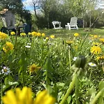 Holiday home Ca Nova 1590 Polinago