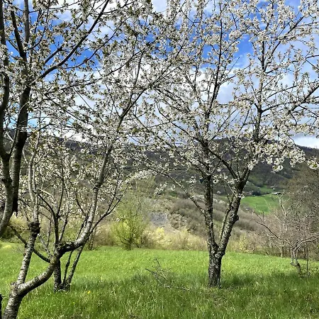 Ca Nova 1590 Casa de Férias *