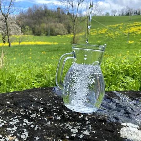 Casa de Férias Ca Nova 1590