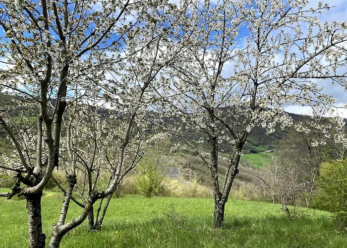 Ca Nova 1590 Nyaraló *