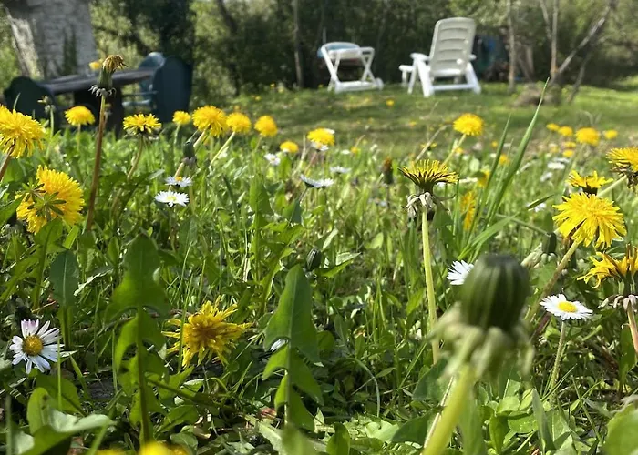 Semesterbostad Ca Nova 1590 Polinago